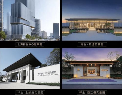 祥生地產丨中國房地產企業top26,幸福生活運營商 產品與服務