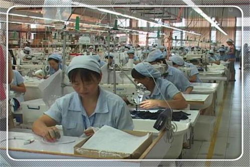 農(nóng)村辦加工廠,有哪些項(xiàng)目具備廣闊的市場(chǎng)前景 這幾個(gè)可以考察