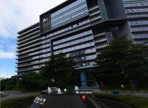 東莞 南城這兩樓盤已有38戶業主辦不證